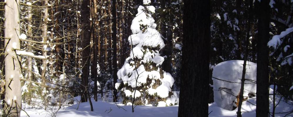 
            Фотография Мезрихи