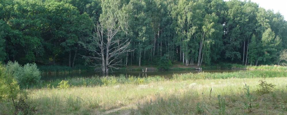 
            Фотография Рощино