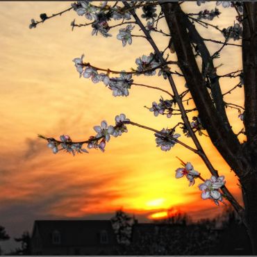 Хеппенхайм (Бергштрасе)