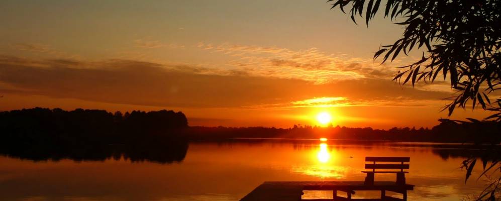 
            Фотография Желваги