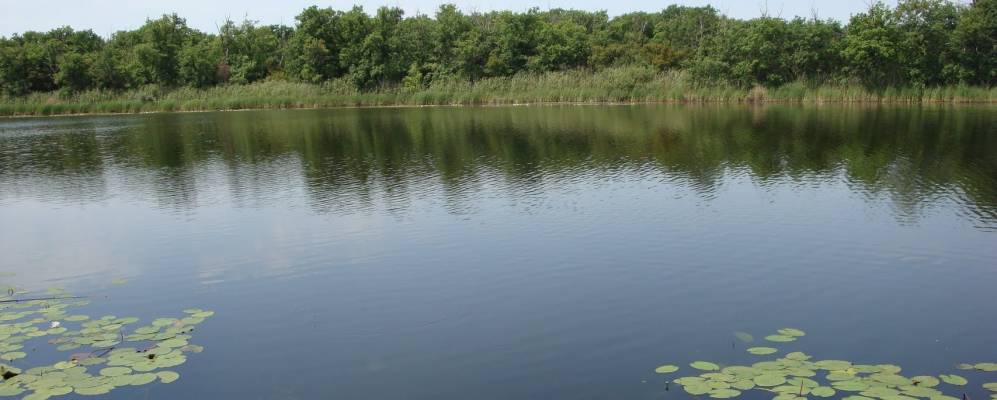 
            Фотография Разливки