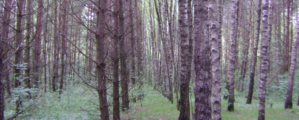 Фотография Болбечено