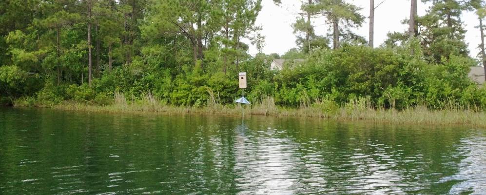 
            Фотография Меррэйсвилла