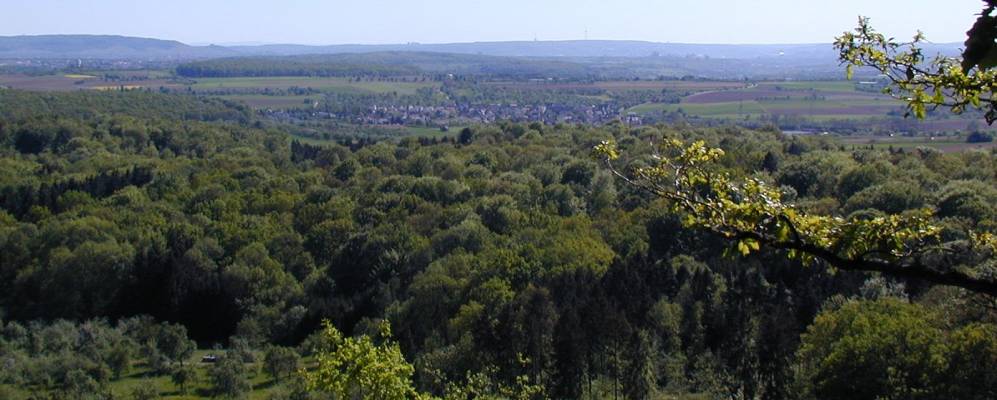 
            Фотография Аффальтербаха