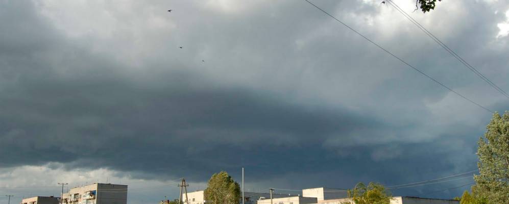 
            Фотография Свободы