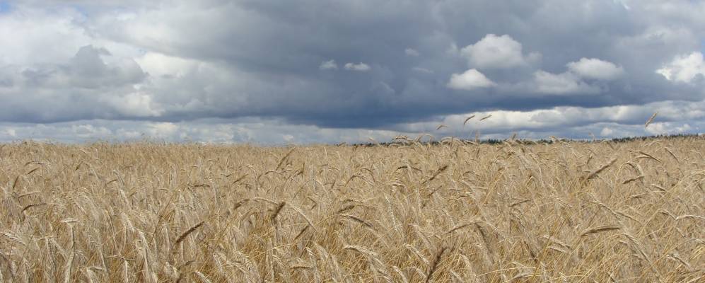 
            Фотография Нижней Вязовни