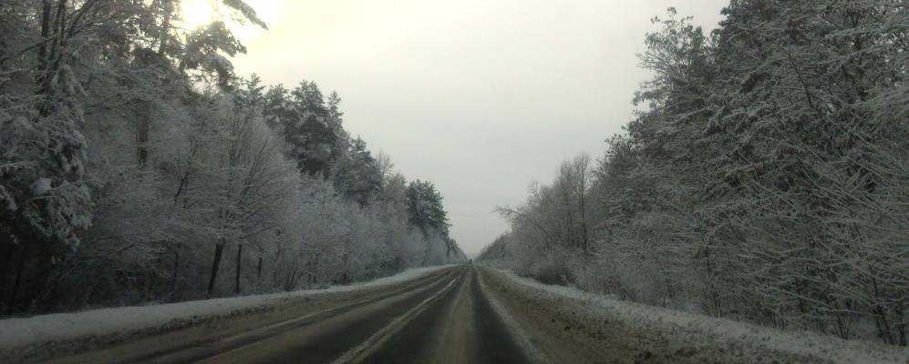 
            Фотография Дибровой