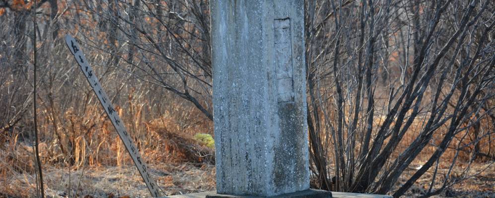 
            Фотография Известковой