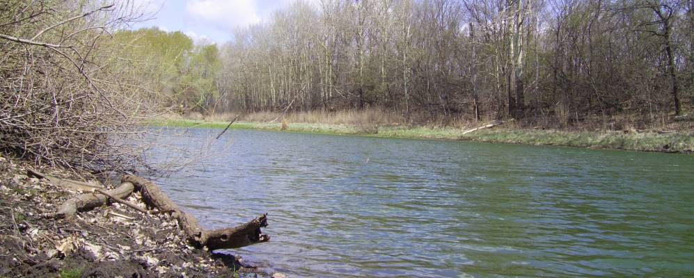 
            Фотография Отрадного