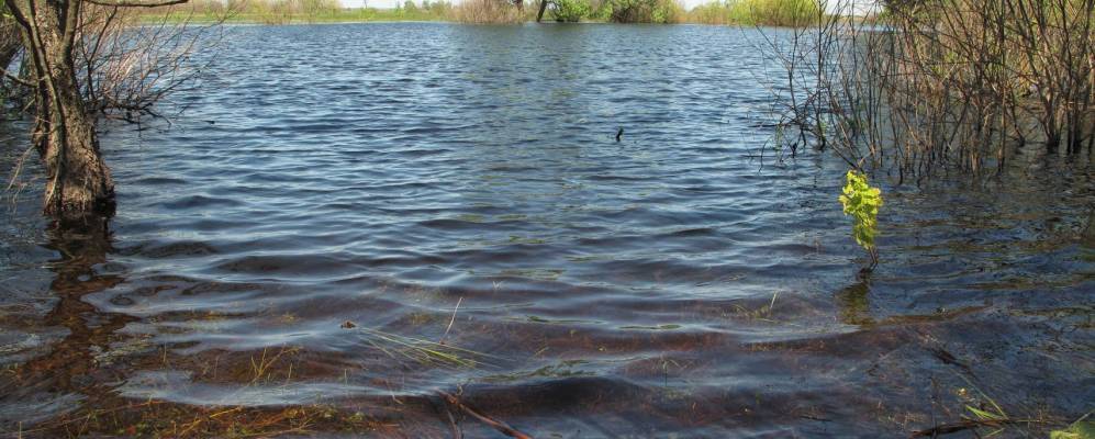 
            Фотография Жилина Млынка