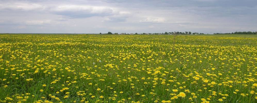 
            Фотография Шишково