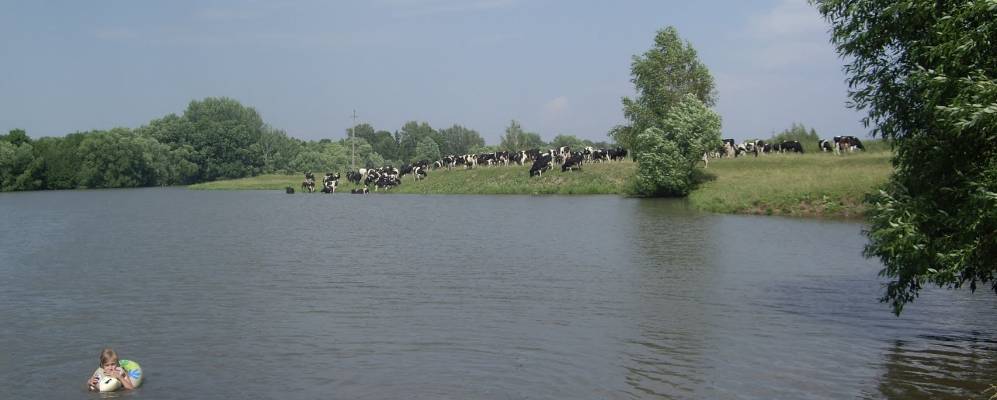 Фотография Михалково