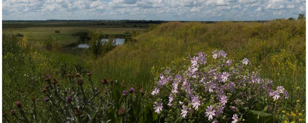 Фотография Мальнево