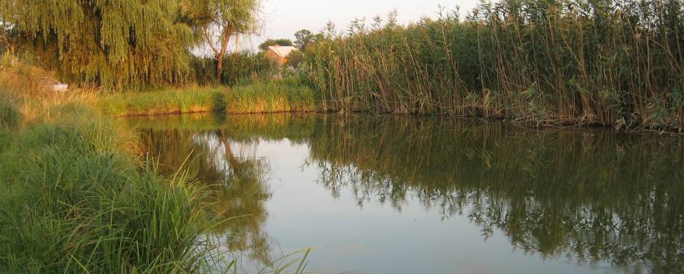 Фотография Опошняны