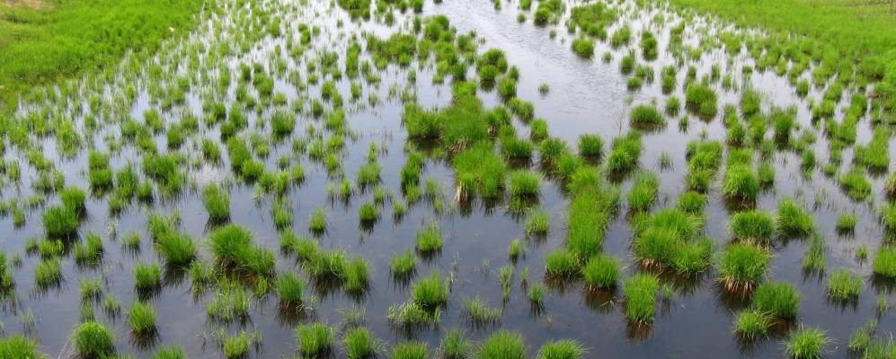 
            Фотография Константиновки