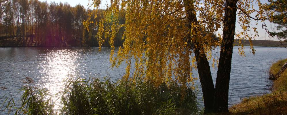 Фотография Поповки