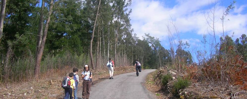 Фотография Кандамо