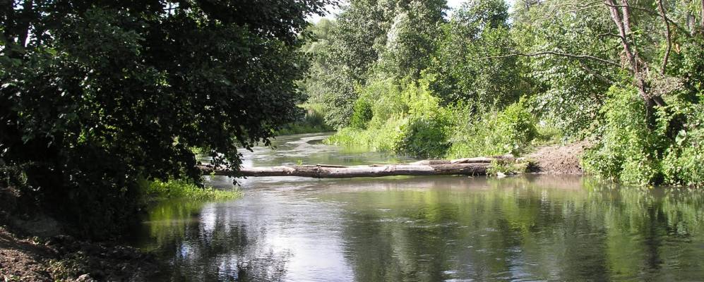 
            Фотография Никольского