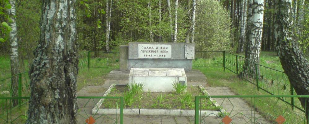 
            Фотография Гуты