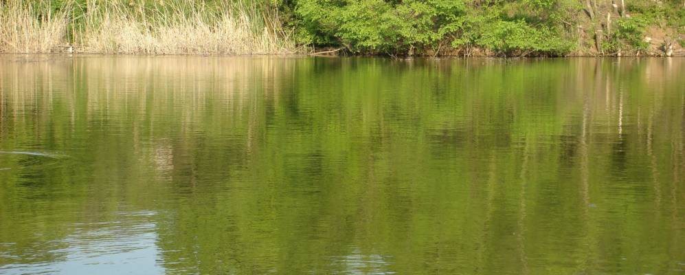 
            Фотография Попасного