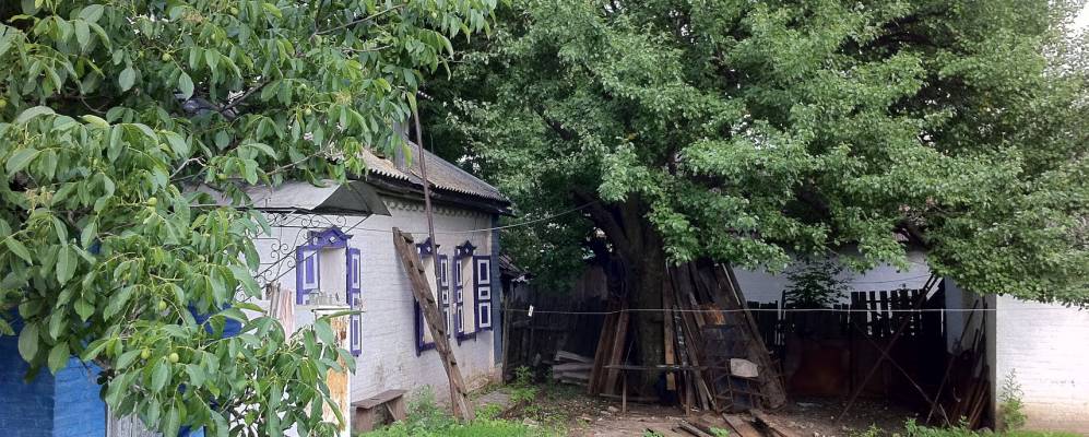 
            Фотография Тишенковки