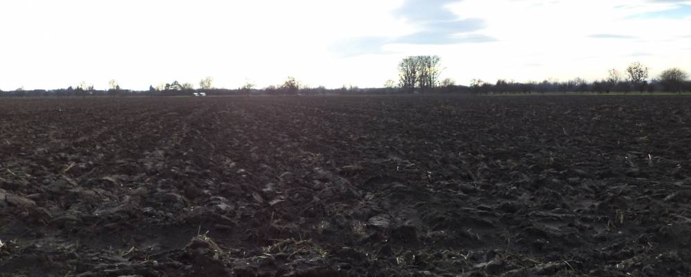 
            Фотография Мейсенхайма