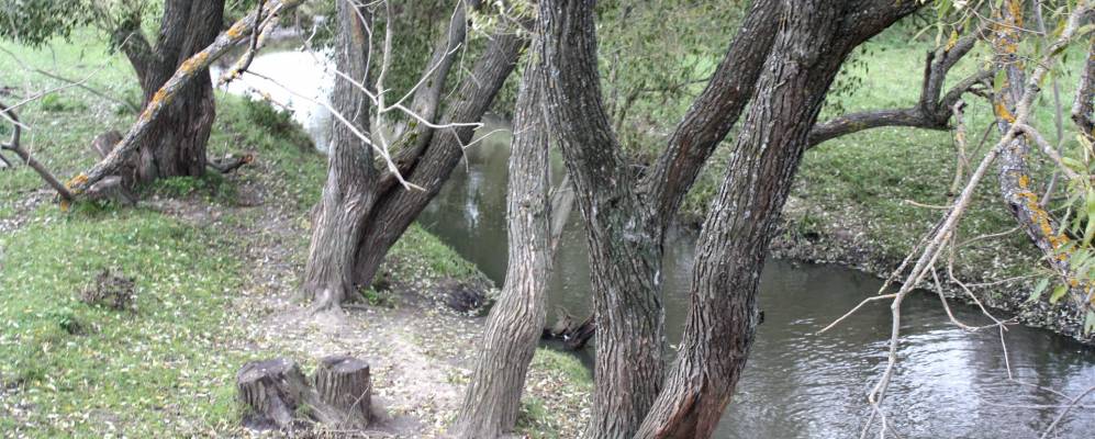 
            Фотография Вязовки