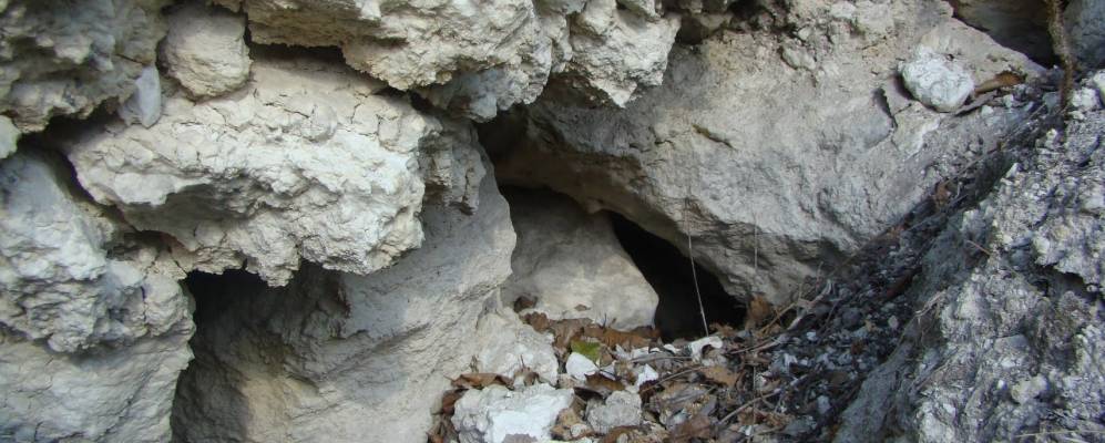 
            Фотография Чкаловского