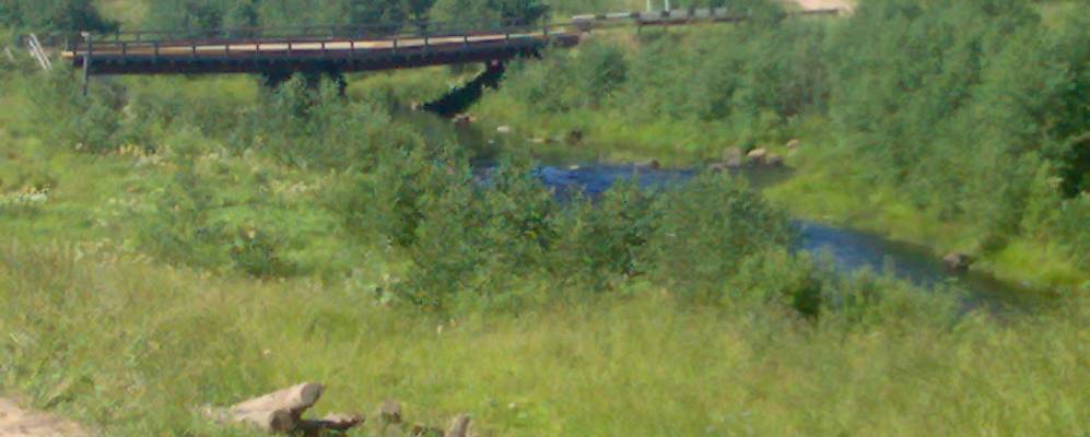 
            Фотография Степановской