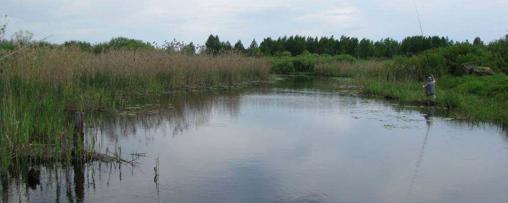 
            Фотография Рыкшино