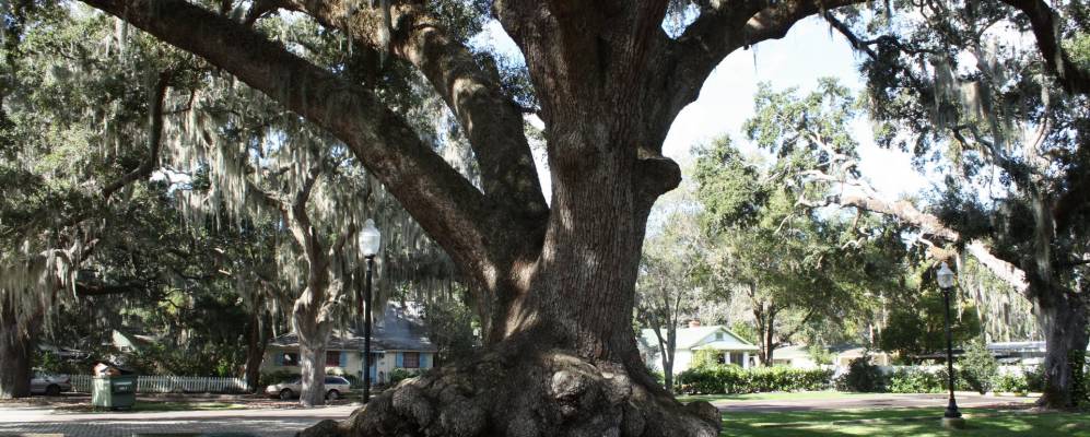 
            Фотография Сейфти Харбора