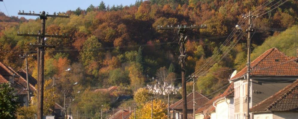 
            Фотография Вашкэу