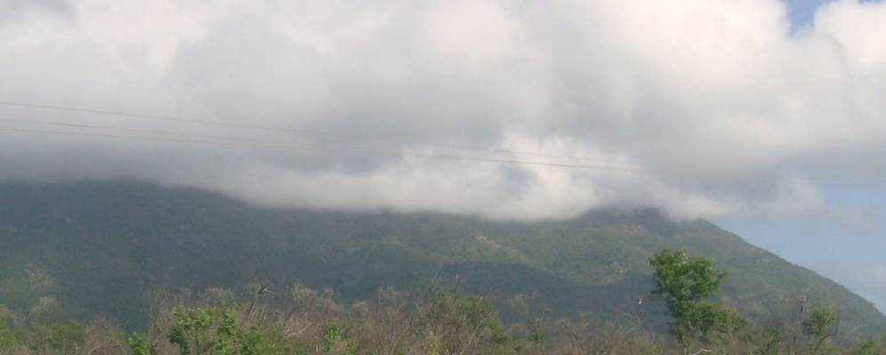 
            Фотография Собрала