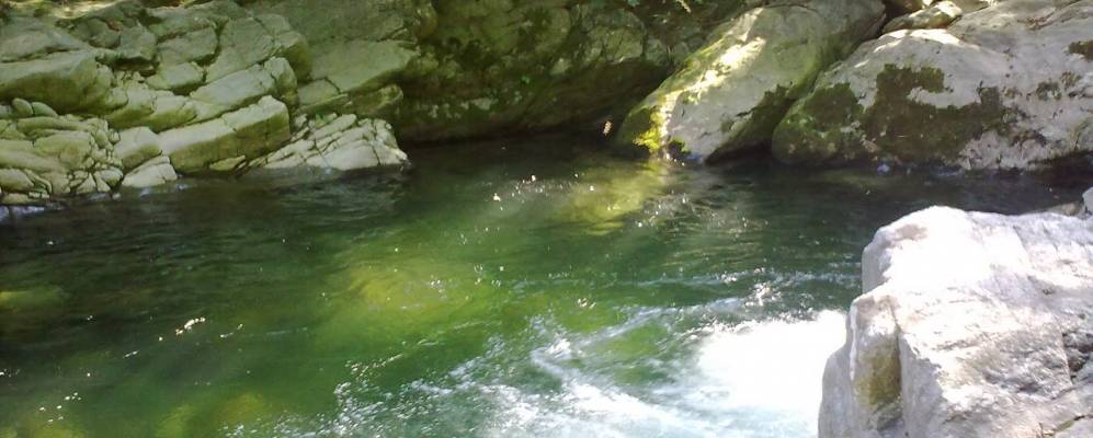 
            Фотография Корио