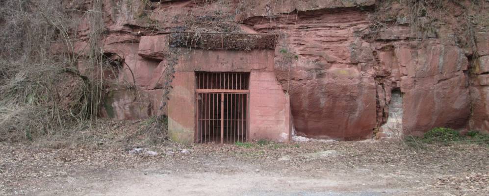 
            Фотография Игель