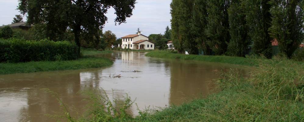 
            Фотография Скорце