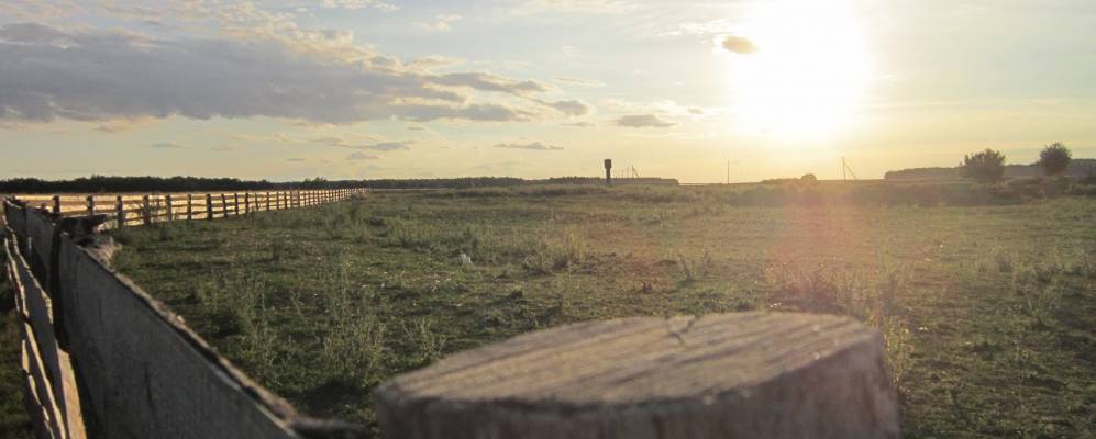 
            Фотография Домачей