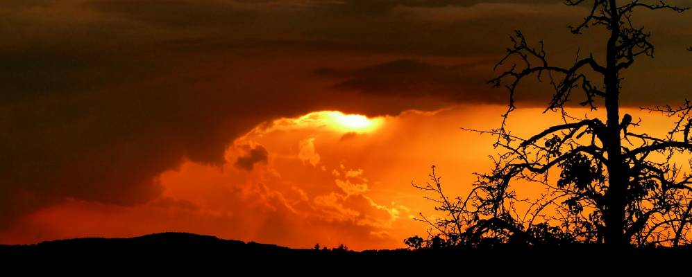 
            Фотография Андвиль