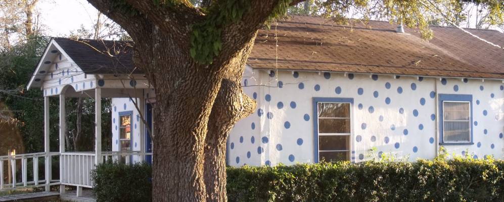 
            Фотография Буны