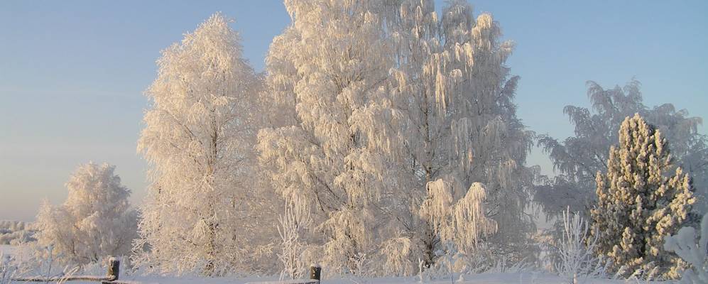Фотография Михеевской