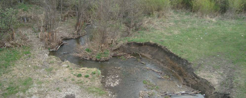 
            Фотография Дубравки