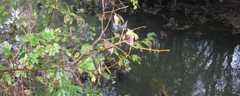 
            Фотография Антовиля