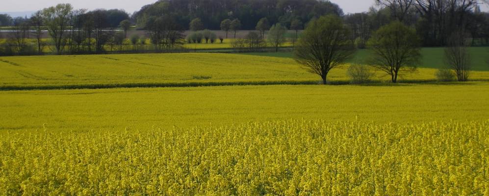 
            Фотография Бад Айльстена