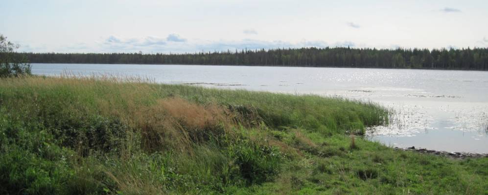 
            Фотография Салтозера