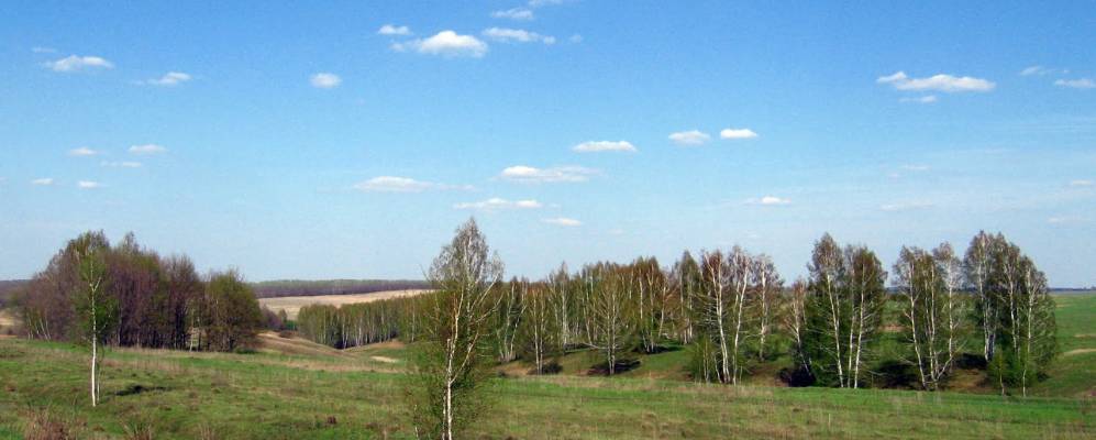 
            Фотография деревни Новоселки