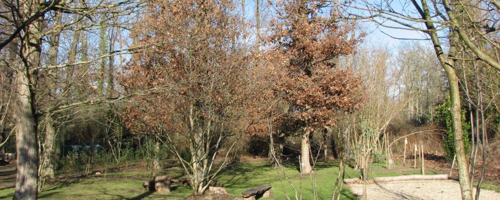 
            Фотография Во-сюр-Мер