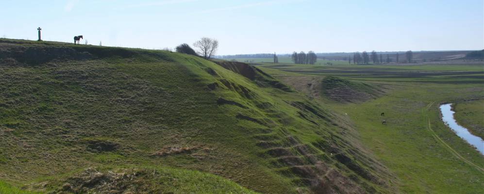 
            Фотография Тихомели