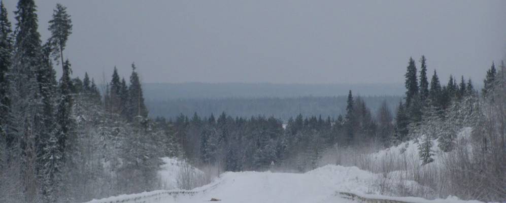 
            Фотография Шуйги