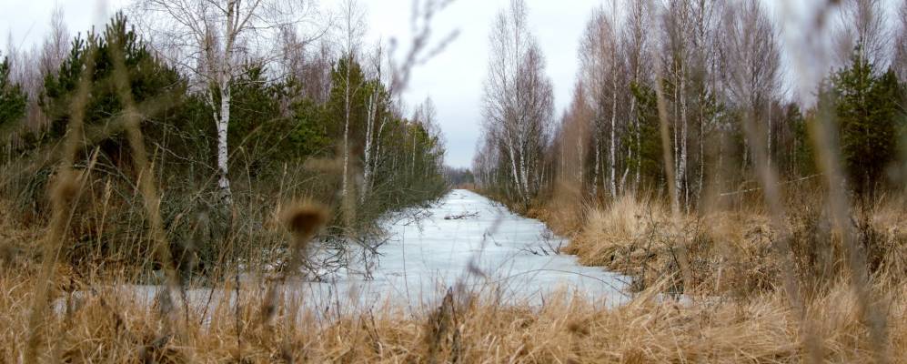 Фотография деревни Чисти-Вардомские