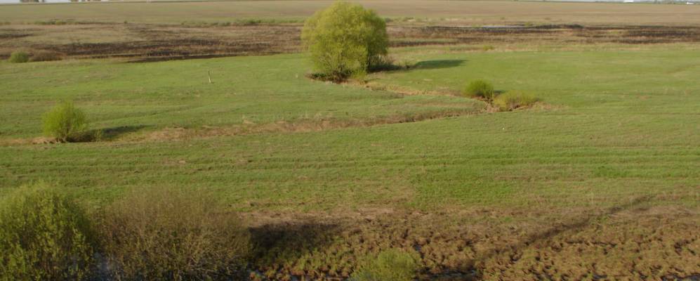 Фотография Узуновки